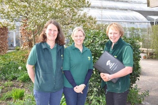 Ed’s Garden Maintenance launches new website