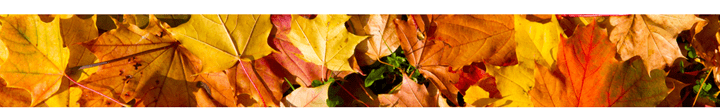 autumnborder.115757.png