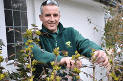 Man trimming plants