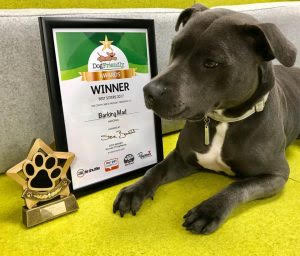 E Dae Ea Df D Ddf Fd F Barking Mad dog care franchise