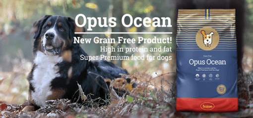 Opus Ocean dog food advert