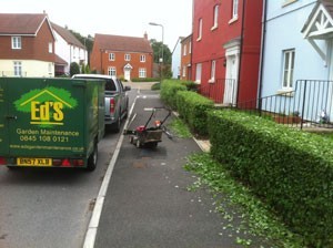Ce Dcc Fe Bf Ec E A F Fb B A TruckHedgeNov2011.JPG