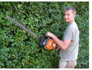 Clean Cut Gardening franchisee Simon Jago at hedge