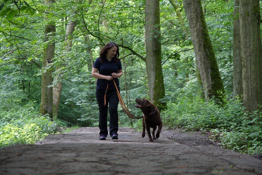 Leading The Way Pet Care Franchise
