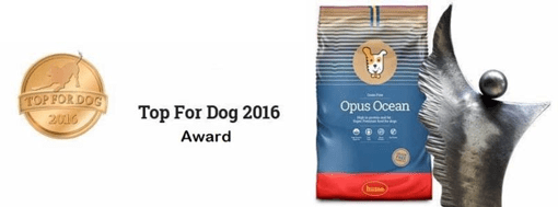 Husse UK England & Scotland wins Top for Dog award 2016