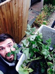 F E C F E Bf Dfebb F gutter-weed-225x300.jpg