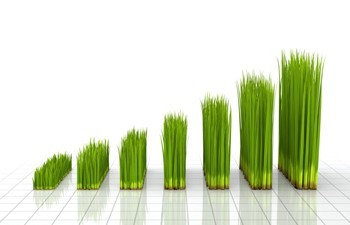Clean Cut Gardening sales are increasing graph