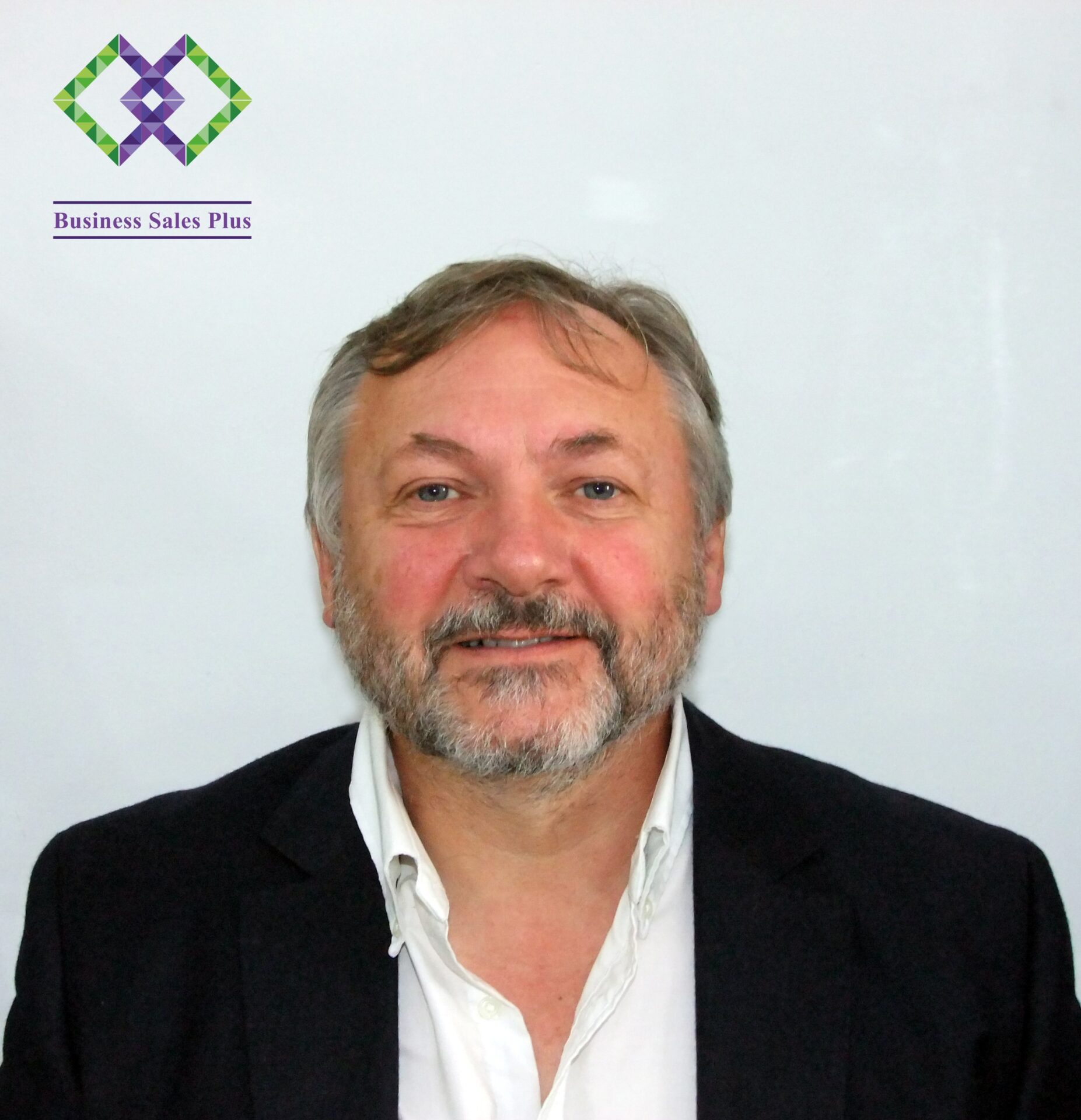Business Sales Plus Franchise Image