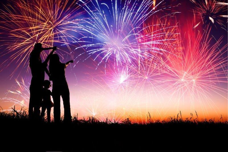 OSCAR Pet Foods and Leading the Way Pet Care join together in offering top tips for pet safety during firework season UK Franchise Opportunities