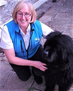 Lucy Wakefield Barking Mad Dog Sitting Home Boarding Exeter Case Study Barking Mad Franchise
